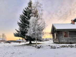 Log Cabin from 1820s with wood-heated sauna, Hassela